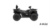 Квадроцикл Segway AT5 LХ