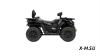 Квадроцикл Segway AT5 LХ