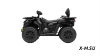 Квадроцикл Segway AT5 LХ