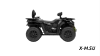 Квадроцикл Segway AT5 LХ