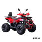 Квадроцикл GT Racer JM-ATV200AX VS 125X2