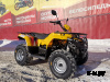 Квадроцикл IRBIS ATV 250 XE (X-MOTORS EDITION)