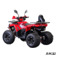 Квадроцикл GT Racer JM-ATV200AX VS 125X2